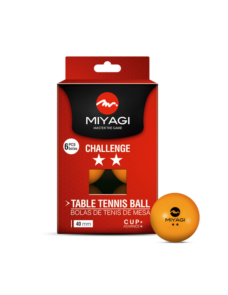 Mesa de Ping Pong Miyagi Intemperie - 6mm